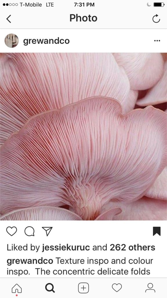 Grewe and co Instagram texture inspo