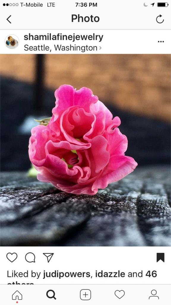 Shamila Instagram garden flower