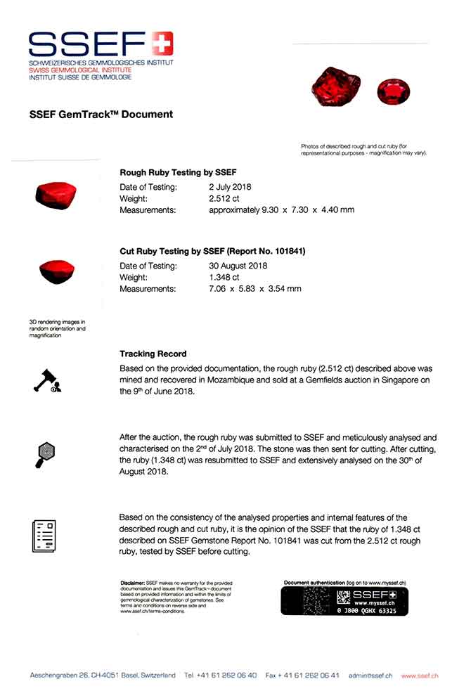 SSEF GemTrack Document