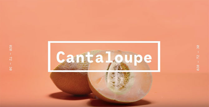 WGSN Coloro 2020 color forecast Cantaloupe