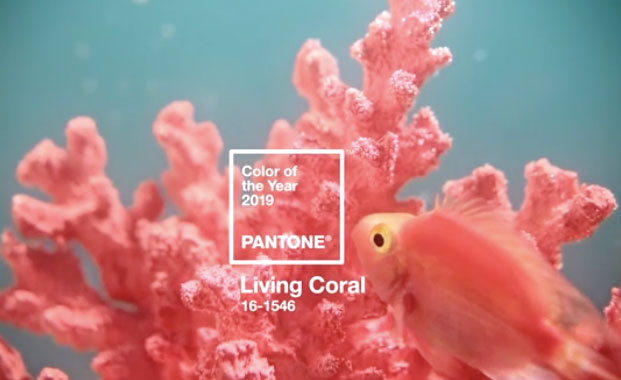 Pantone Living Coral