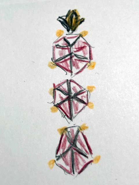 Whitney Abrams garnet pendant sketch