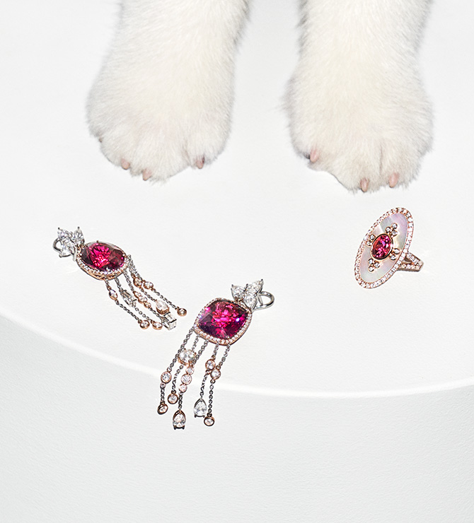 Dog paws with rubellite earrings and ring