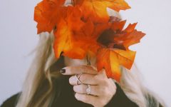 Ben Bridge fall Instagram