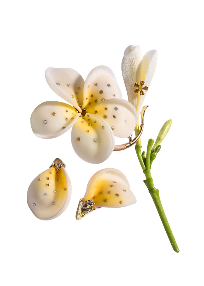 Alessio Boschi frangipani brooch and earrings