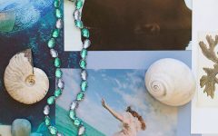 Larkspur and Hawk mood board