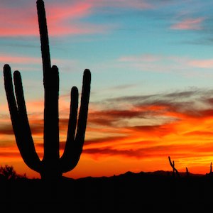 tucson sunset silhouette