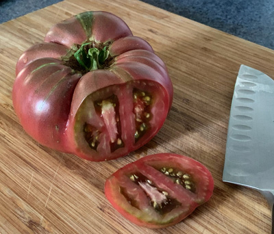 home grown tomato