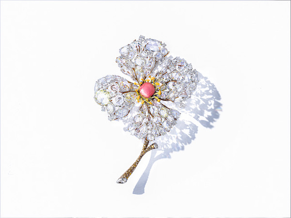 Cindy Chao Diphylleia Brooch