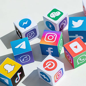 Social Media Icons