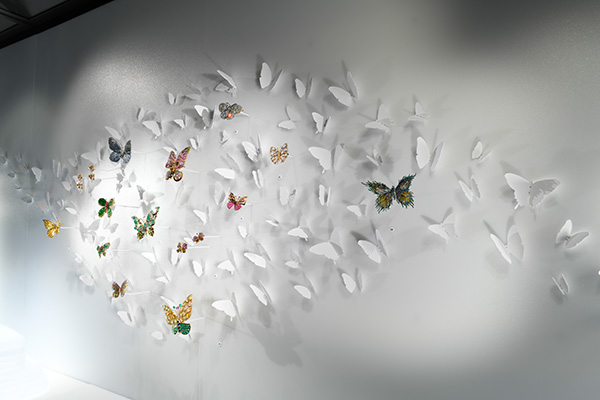 AMNH Beautiful Creatures butterflies