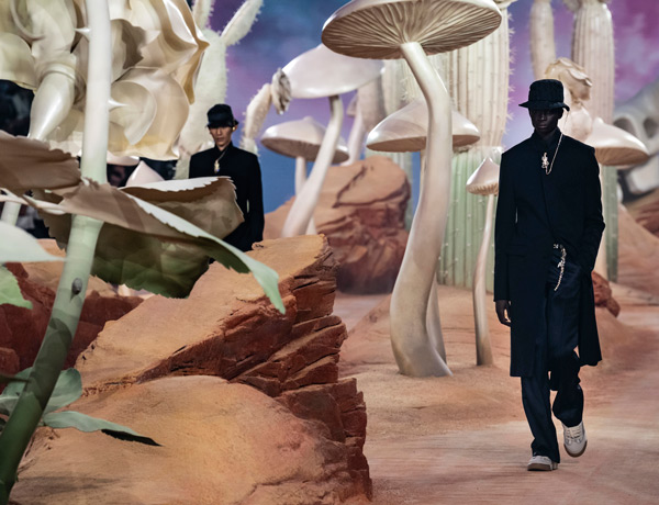 Dior mushrooms