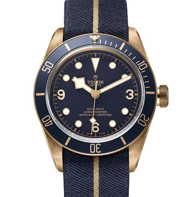 Tudor black bay bronze