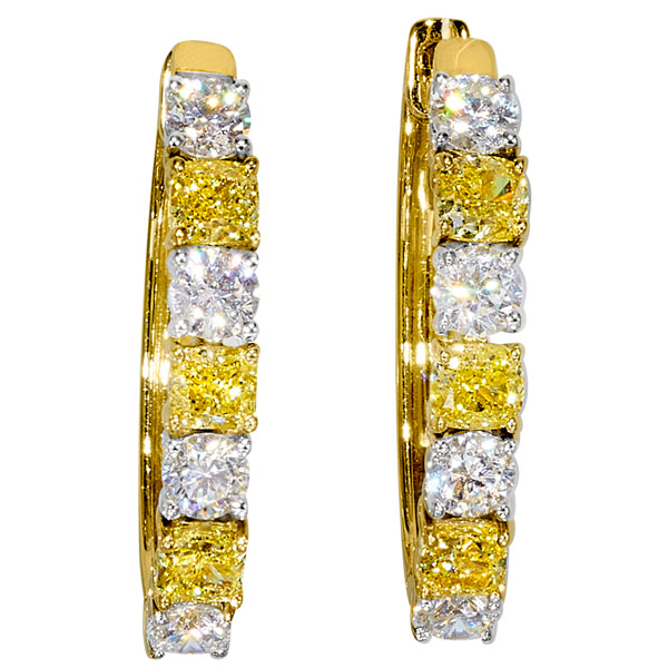 Gemelody yellow white diamond earrings