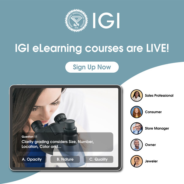 IGI eLearning courses