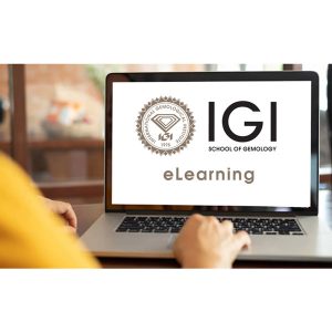 IGI eLearning course