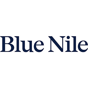 blue nile logo