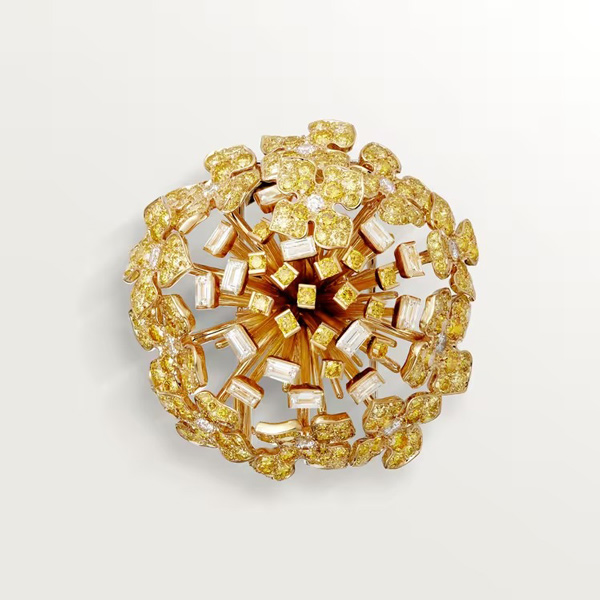 Cartier brooch