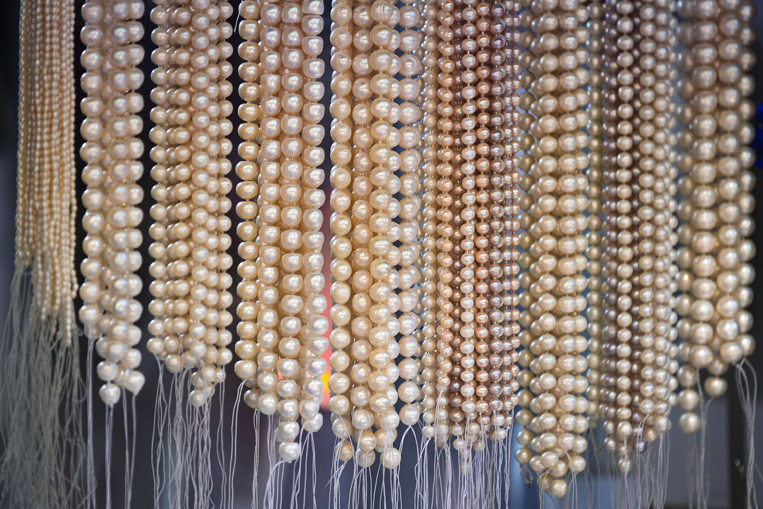 strands of hanging freshwater pearls
