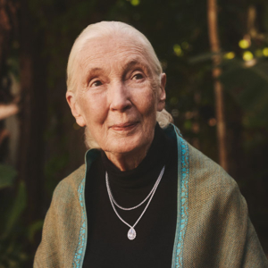 Jane Goodall brilliant earth diamond necklaces