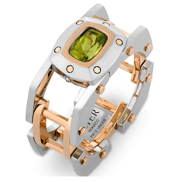 MS Rau Interstellar ring