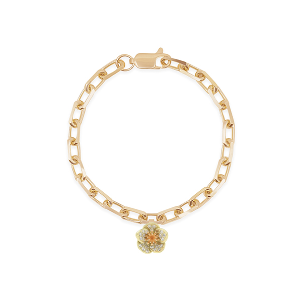 Bernard James Hellebore Bernard James Hellebore