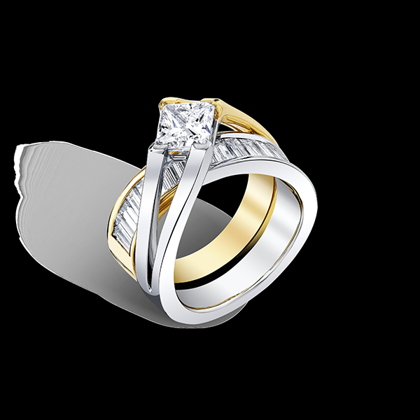 Cornelis Hollander Hamptons