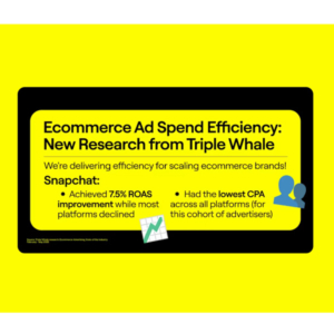 Snapchat Triple Whale research