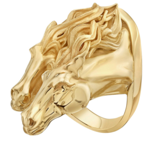 Lionheart horse ring