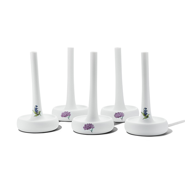 Marla Aaron Nymphenburg depository