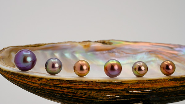 PearlParadise Exotic Color Edison Pearls