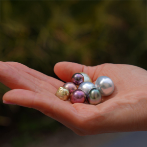 PearlParadise VIP Very Important Pearls event