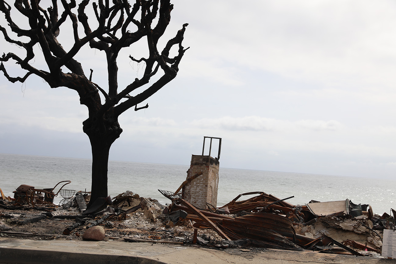 Getty Images remnants of Palisades fire