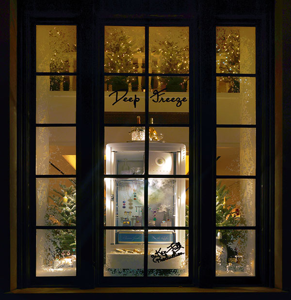 David Webb Deep Freeze window concept