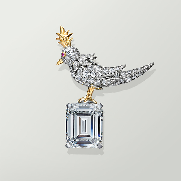 Globes Tiffany Connor bird