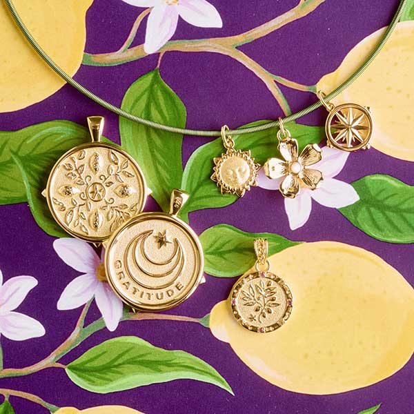 JW x Giadzy Collaboration