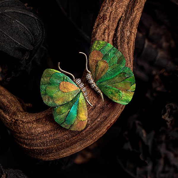 Silvia Furmanovich Fauna butterfly