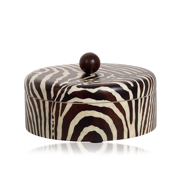 Silvia Furmanovich box fauna