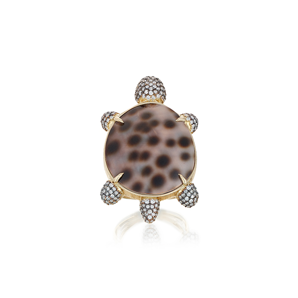 Silvia Furmanovich turtle fauna