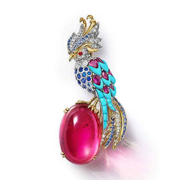 Bluebook 2026 bird 2