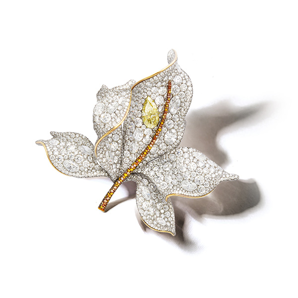 CINDY CHAO Maple Leaf