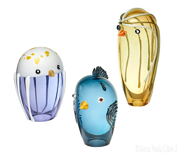 Anna Paola Cibin birds