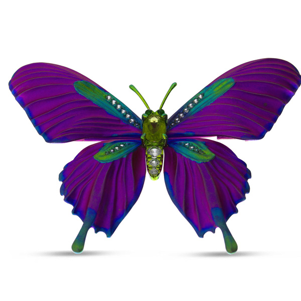 Brevani purple butterfly Brevani purple butterfly