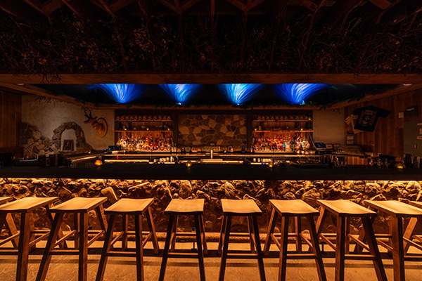Viking Mike's bar