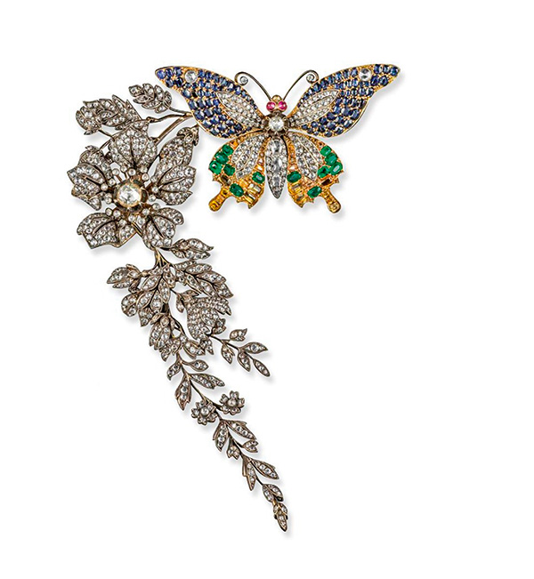 Collecting Jewellery butterfly Collecting Jewellery butterfly