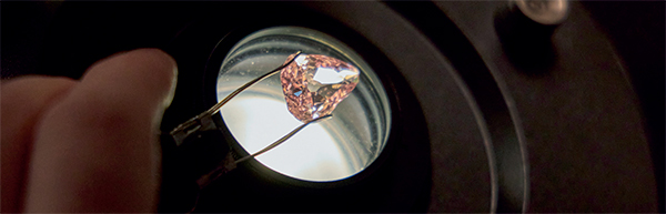 LEcole pink diamond