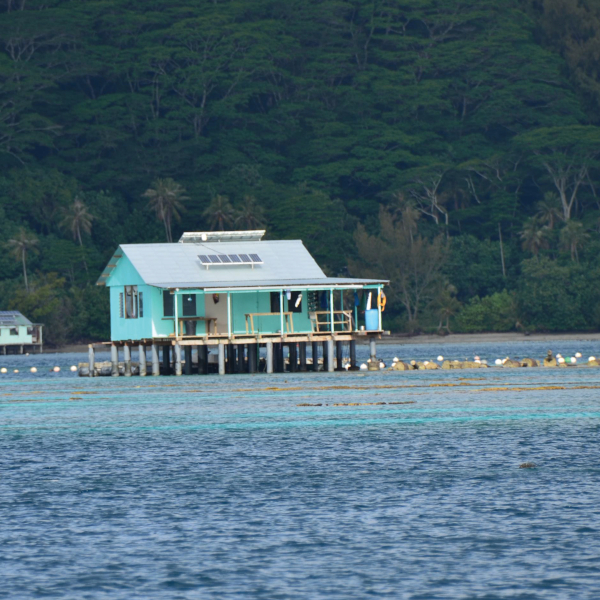 A pearl farm in Huahine, French Polynesia